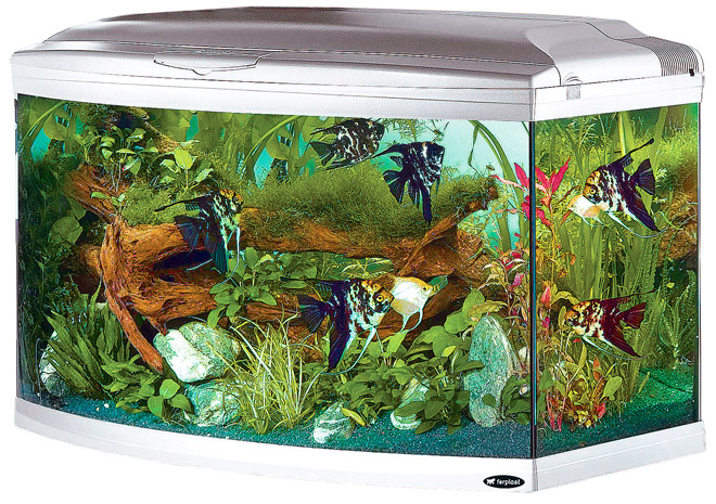Интереорен аквариум